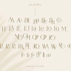 May include: A graphic displaying ligatures for the letters A, B, C, E, F, L, M, O, P, R, U, W, and Y. The ligatures are in a cursive style font and are arranged in rows. The text "LIGATURES" and "PORTOBELLO LIGATURES" are also included in the graphic.