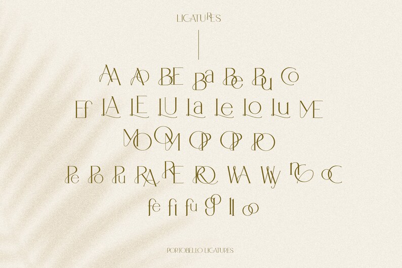 Modern Ligature Font Elegant Font Logo Design Font Display Etsy