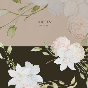 Op de afbeelding: Een aquarel-illustratie van witte bloemen en bladeren op een bruine achtergrond. De tekst "ARTIS NATURAE" staat in het midden van de afbeelding.