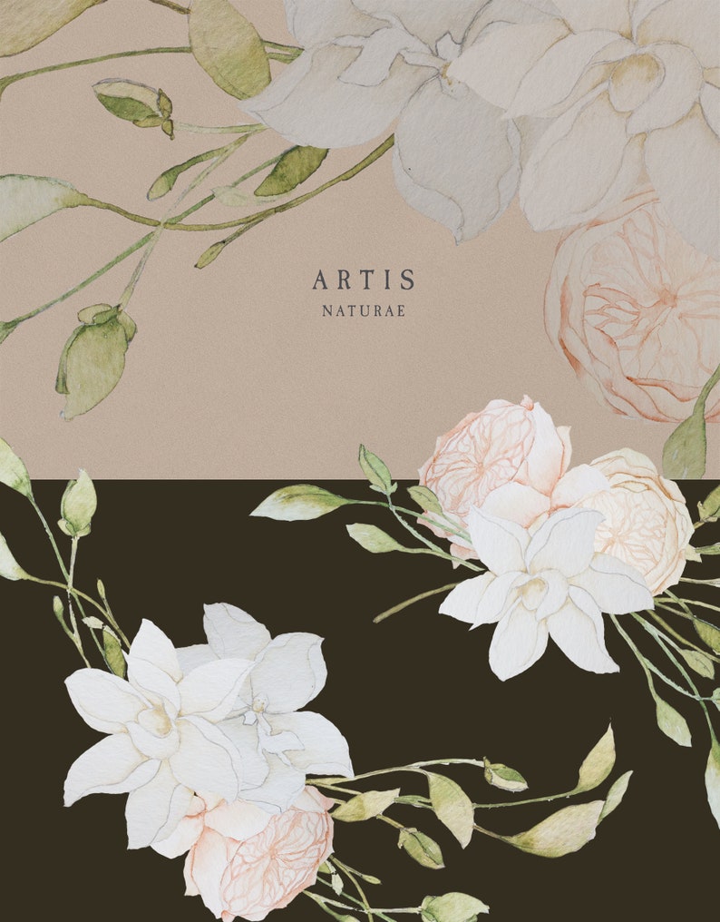 Op de afbeelding: Een aquarel-illustratie van witte bloemen en bladeren op een bruine achtergrond. De tekst "ARTIS NATURAE" staat in het midden van de afbeelding.