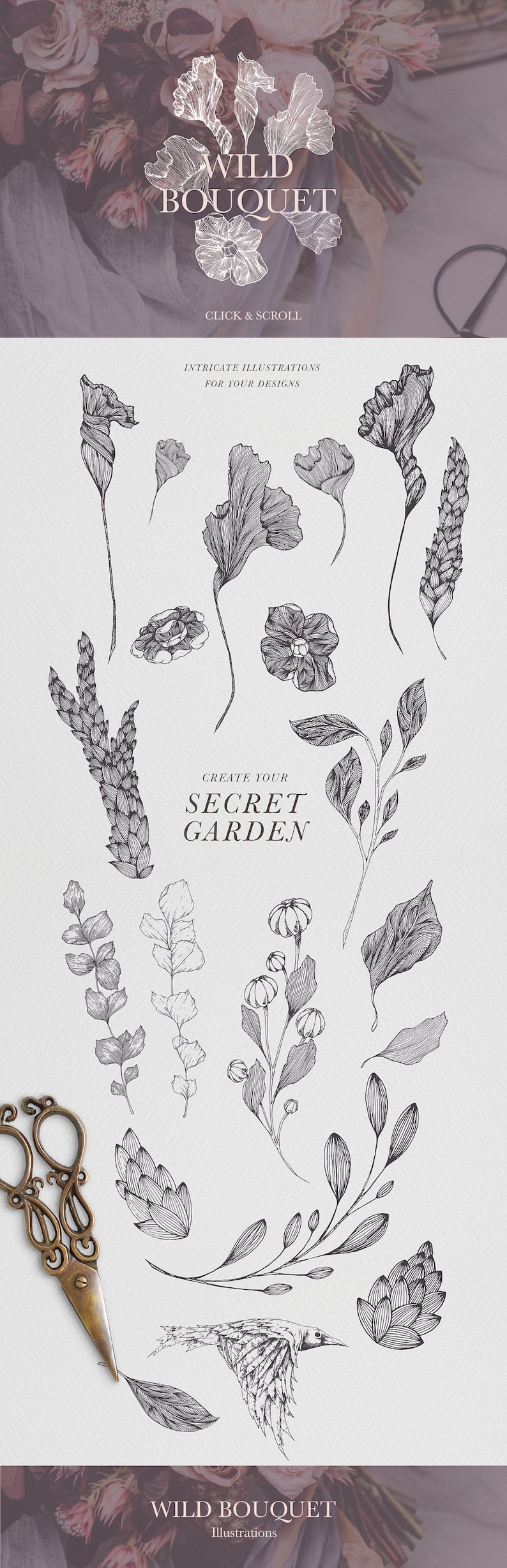 May include: A set of 14 black and white line drawings of various flowers, leaves, and a bird. The illustrations are intricate and detailed, perfect for creating a secret garden theme.