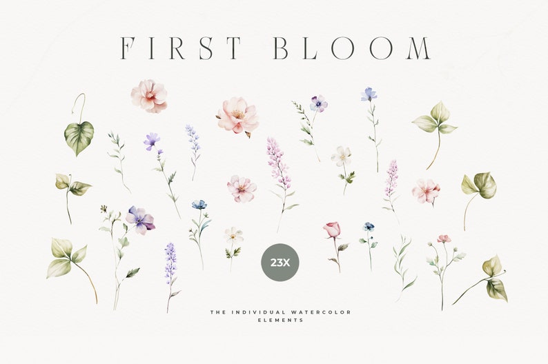 May include: A set of 23 watercolor illustrations of flowers and leaves. The illustrations are in shades of pink, blue, and green. The text "FIRST BLOOM" is at the top of the image. The text "THE INDIVIDUAL WATERCOLOR ELEMENTS" is at the bottom of the image.