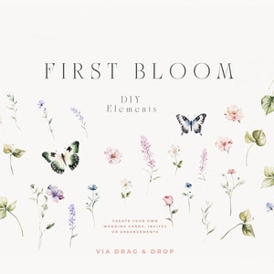 May include: Watercolor illustrations of flowers, butterflies, and leaves. The text "FIRST BLOOM DIY Elements" is at the top of the image. The text "CREATE YOUR OWN WEDDING CARDS, INVITES OR ARRANGEMENTS VIA DRAG & DROP" is at the bottom of the image.