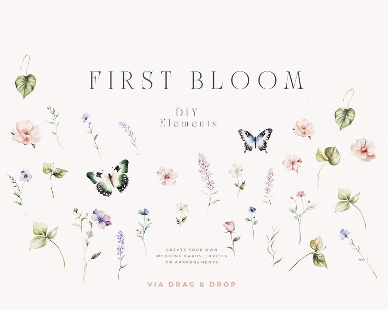 May include: Watercolor illustrations of flowers, butterflies, and leaves. The text "FIRST BLOOM DIY Elements" is at the top of the image. The text "CREATE YOUR OWN WEDDING CARDS, INVITES OR ARRANGEMENTS VIA DRAG & DROP" is at the bottom of the image.