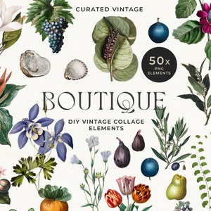 Floral Collage Clip Art - Vintage Botanical Art - Vintage Collage Art - Dark Academia Aesthetic - DIY Collage - Floral Collage Cut Out