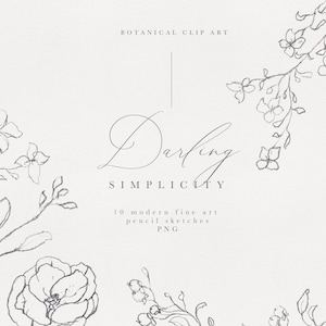 Botanical line art, fine art botanical, floral pencil sketch, line art flower, hand sketched floral clip art, fine art wedding clipart