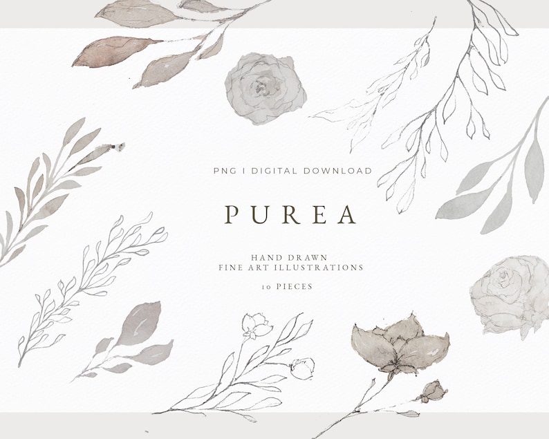 May include: A set of 10 hand-drawn watercolor illustrations featuring delicate branches, leaves, and roses in shades of gray. PNG | DIGITAL DOWNLOAD PUREA HAND DRAWN FINE ART ILLUSTRATIONS 10 PIECES