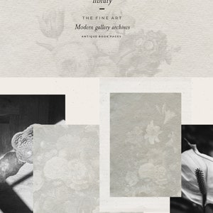 Op de afbeelding: Een collage van vier afbeeldingen met antieke boekpagina's met bloemmotieven. De tekst "HEIRLOOM library" wordt boven in het midden van de afbeelding weergegeven. De tekst "THE FINE ART OF PAPER" wordt boven en onder in de afbeelding weergegeven.