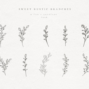 Botanical Line Art Illustration, Hand Drawn Floral Line Art, Botanical ...