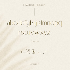May include: A lowercase alphabet and special characters in a simple, minimalist font style. The font is a light brown colour and is displayed on a white background.