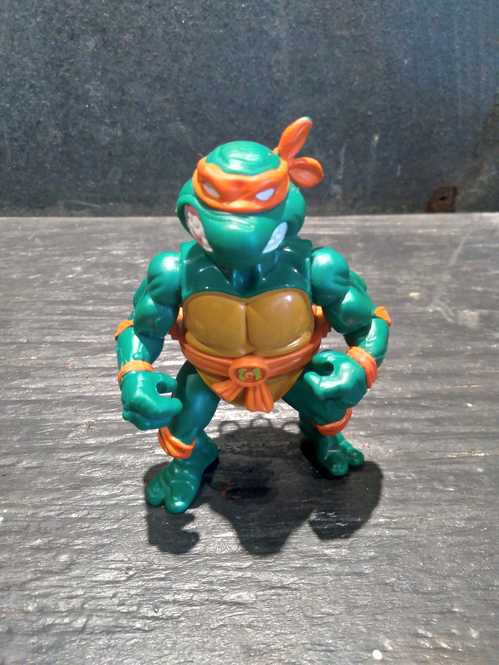 tmnt storage box