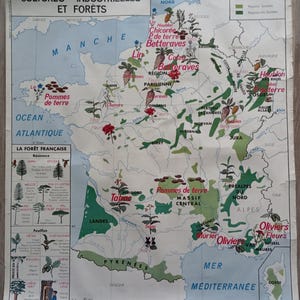 France Garonne, Agriculture and forests / French agriculture and forests - Old school map MDI 11-12, 1960 / Old school map