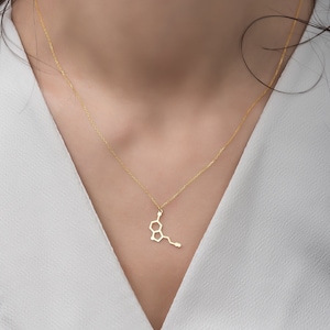 Serotonin Molecule Necklace: 14K Gold or Sterling Silver Pendant