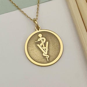14k Gold Veterinarian Symbol Necklace: Personalized Animal ID Pendant