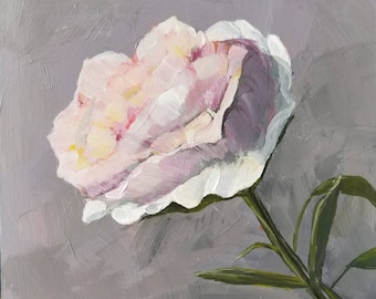 Pivoine rose