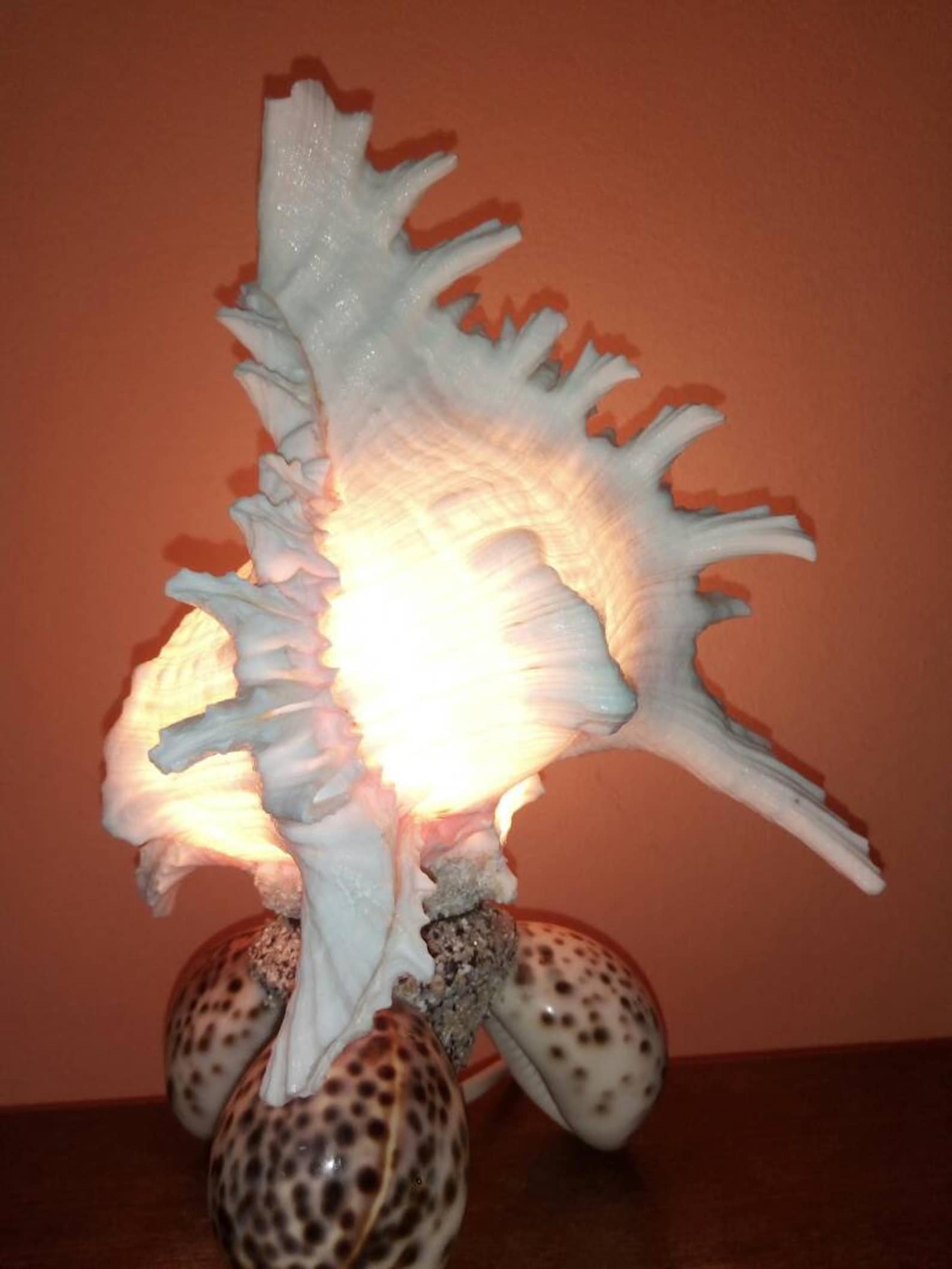 SEA SHELL LAMP Large Beautiful Vintage Handmade Unique Lamp Etsy