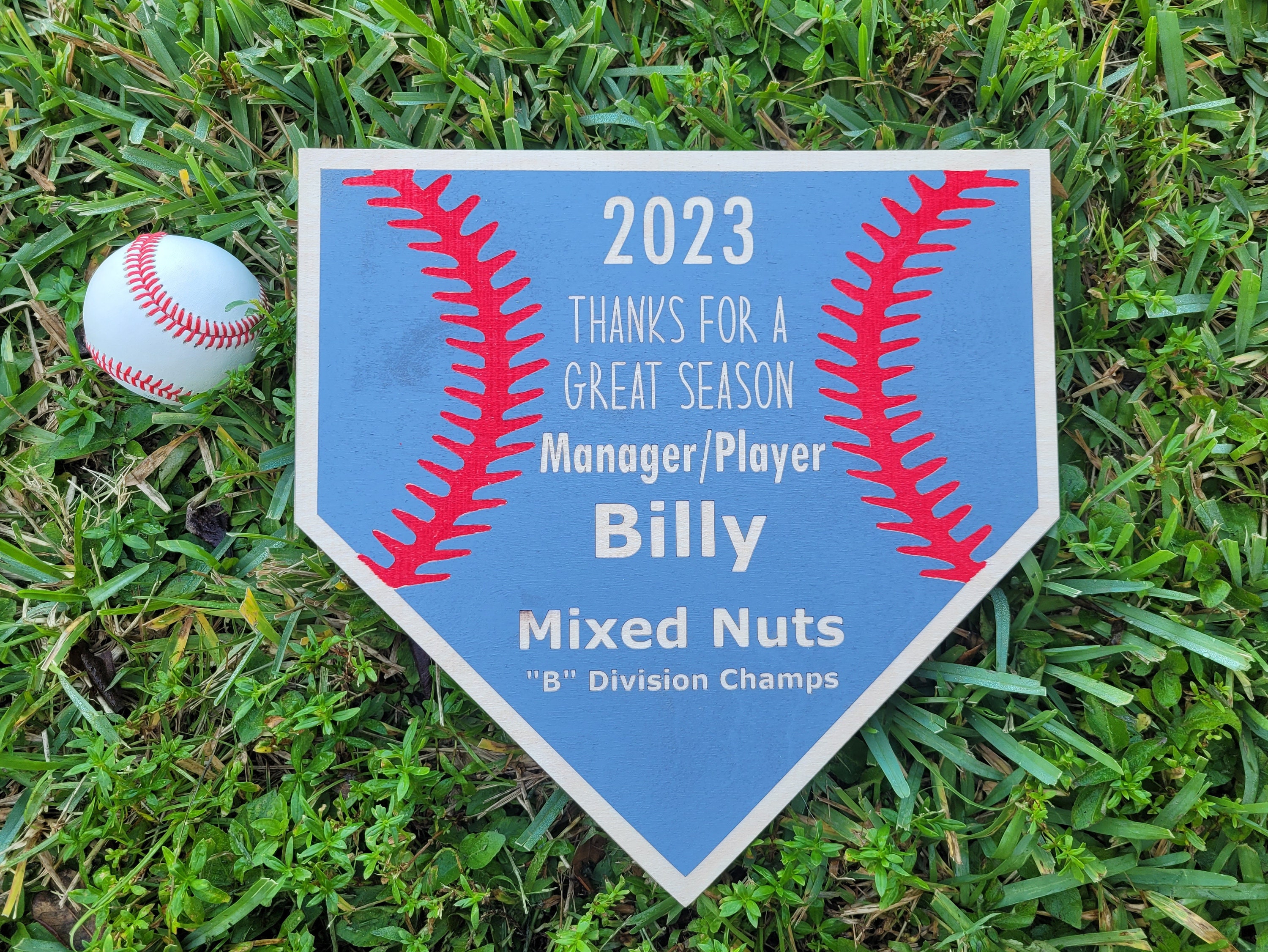 SOFTBALL COACH GIFT + Softball Plaque + Coach Plaque + End of Season Gift + Personalized Gift