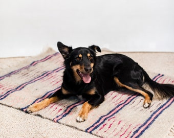 Regenbogen Hund Teppich Läufer Wollkiste Haustier Matte Weicher Katzenbett Teppich Farbige Matte Hundeunterlage Haustier Tischset Katzenmatte Hund Bodenteppich Hund Besitzer Geschenk