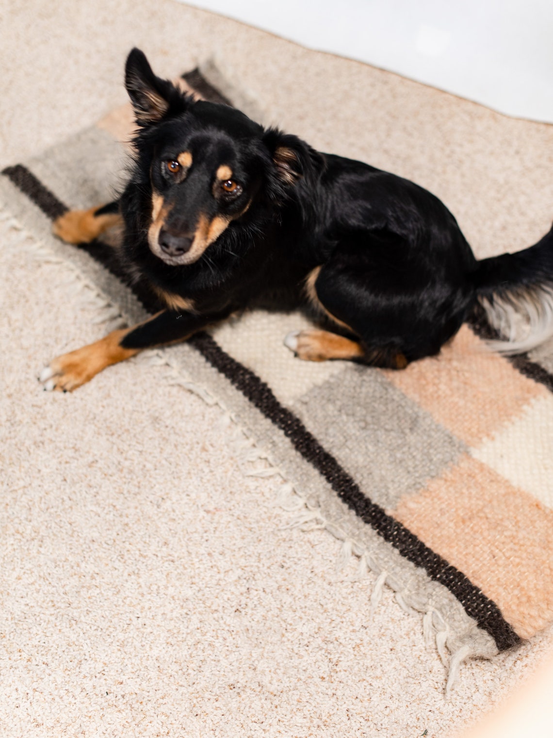 Wool Pet Mat Rug Dog Carpet Pet Rug Runner Woolen Pad Dog Bed Etsy