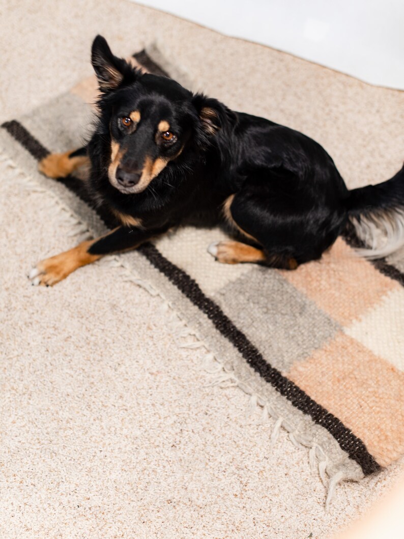 Wool Pet Mat Rug Dog Carpet Pet Rug Runner Woolen Pad Dog Bed Etsy