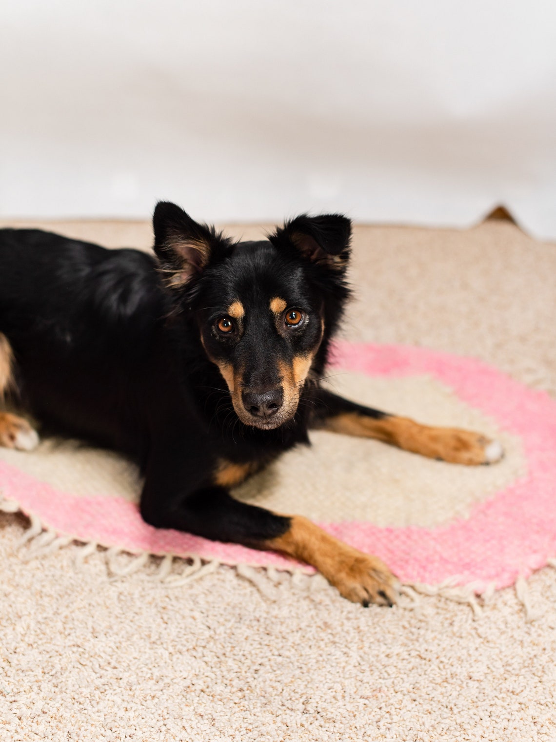 Wool Pet Mat Rug Dog Carpet Pet Rug Runner Woolen Pad Dog Bed Etsy