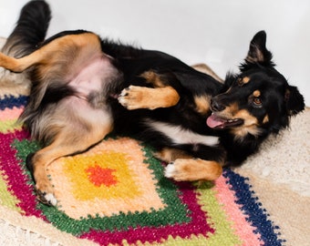 Läufer Wolle Haustier Matte Regenbogen Hundeteppich Kiste Weiche Katzenbett Teppich Farbige Matte Hundeunterlage Haustier Tischset Katzenmatte Hund Bodenteppich Hund Besitzer Geschenk