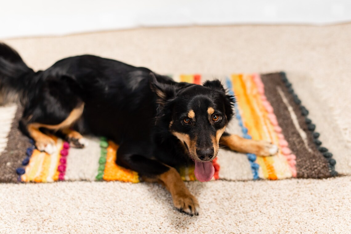 100% Wool Yellow Rug Rag Bedroom Stylish Boho Throw Rug | Etsy
