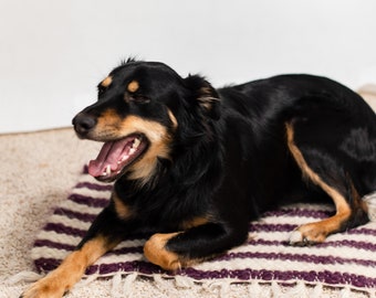 Wollen Pad Hundebett Woll Haustier Matte Teppich Hunde Teppich Haustier Läufer Bio Wolle Katze Matte Hundebett Decken Kleiner Handgewebter Teppich Haustier Bedarf