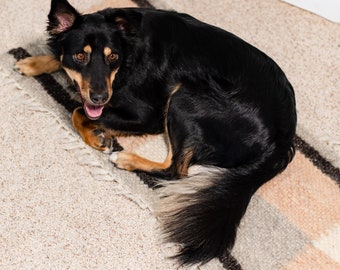 Handgewebter Teppich Haustier Bedarf Wolle Haustier Matte Teppich Hunde Teppich Haustier Läufer Wolldecke Hundebett Bio Wolle Katze Matte Hundebett decken Klein