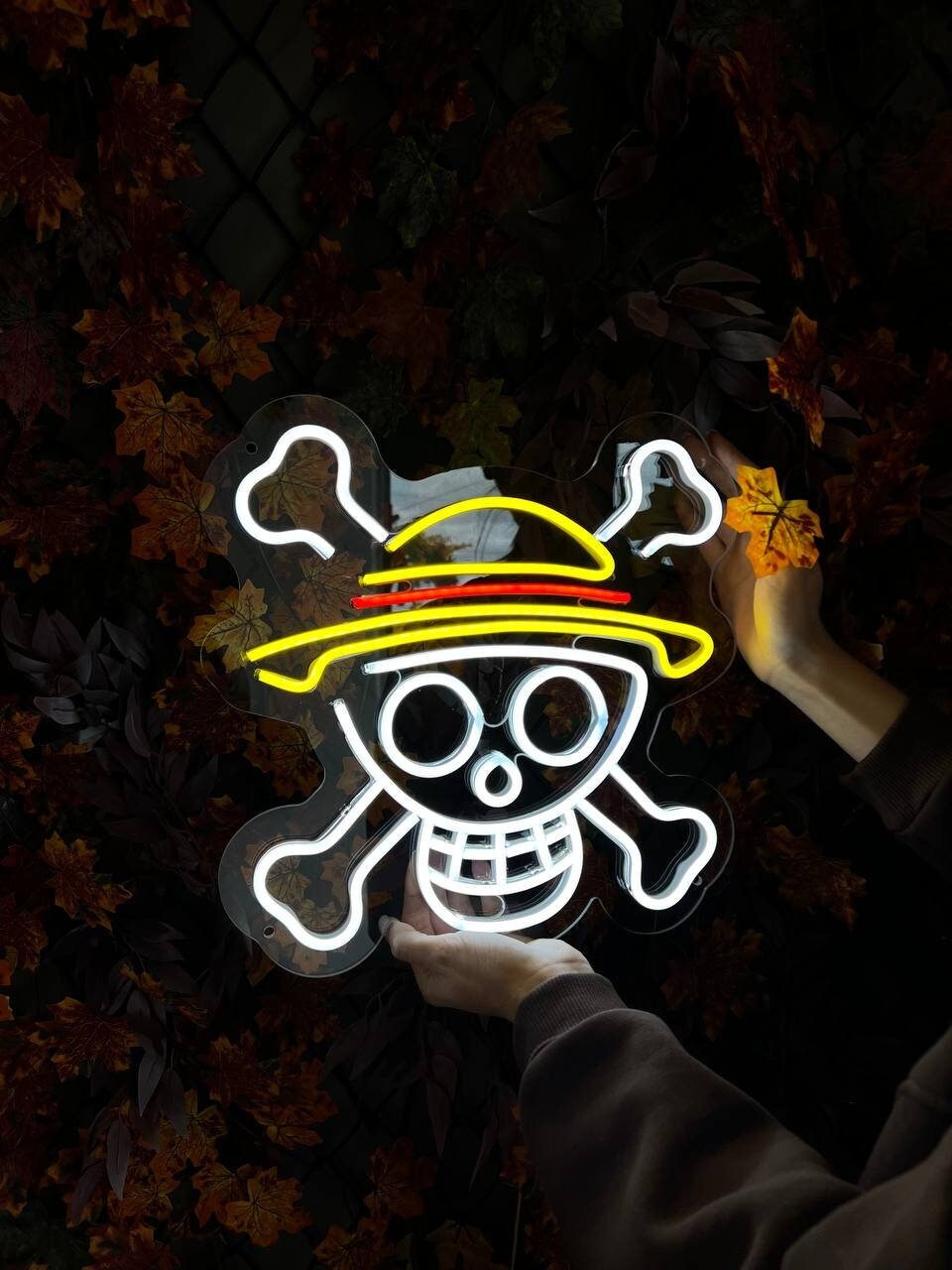 One Piece Anime Hoodie Etsy