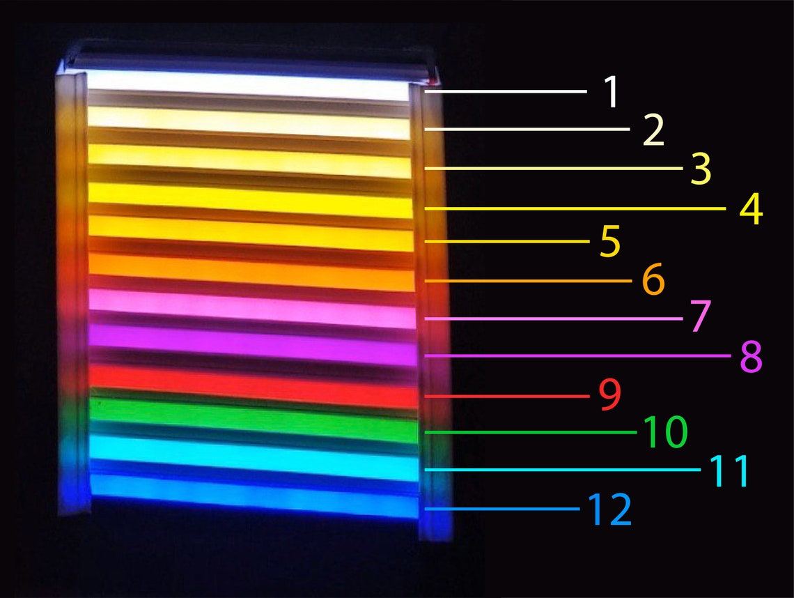 Video Camera Neon Light Sign LED Custom Gift for Her or Etsy