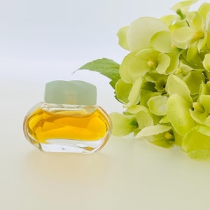 May include: A small, clear glass bottle with a light green lid filled with a golden liquid. The bottle is sitting on a white surface next to a bouquet of light green flowers.