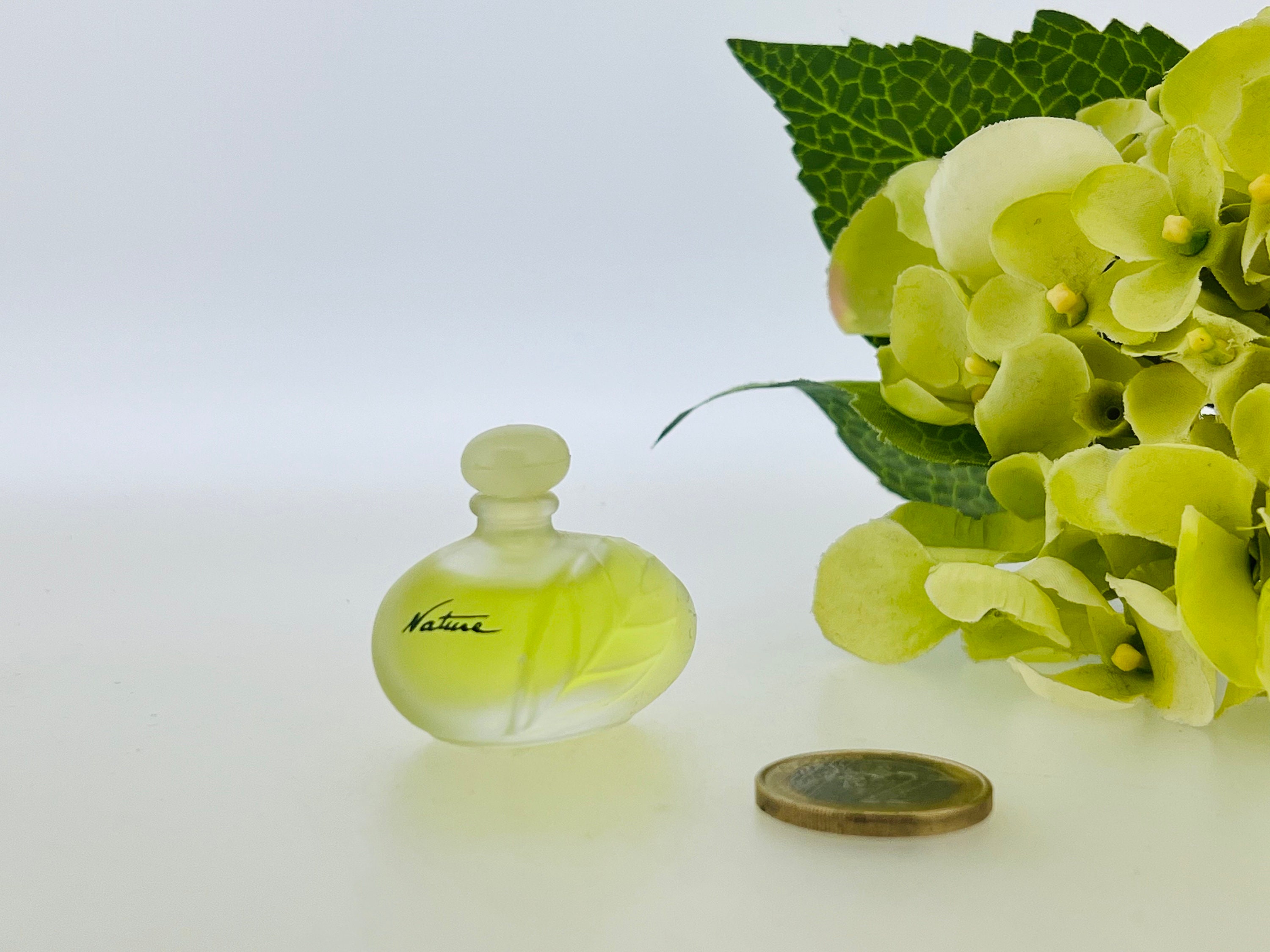 香水(ユニセックス) Nature Yves Rocher 1994 il_fullxfull.5556765592_s7u8.jpg