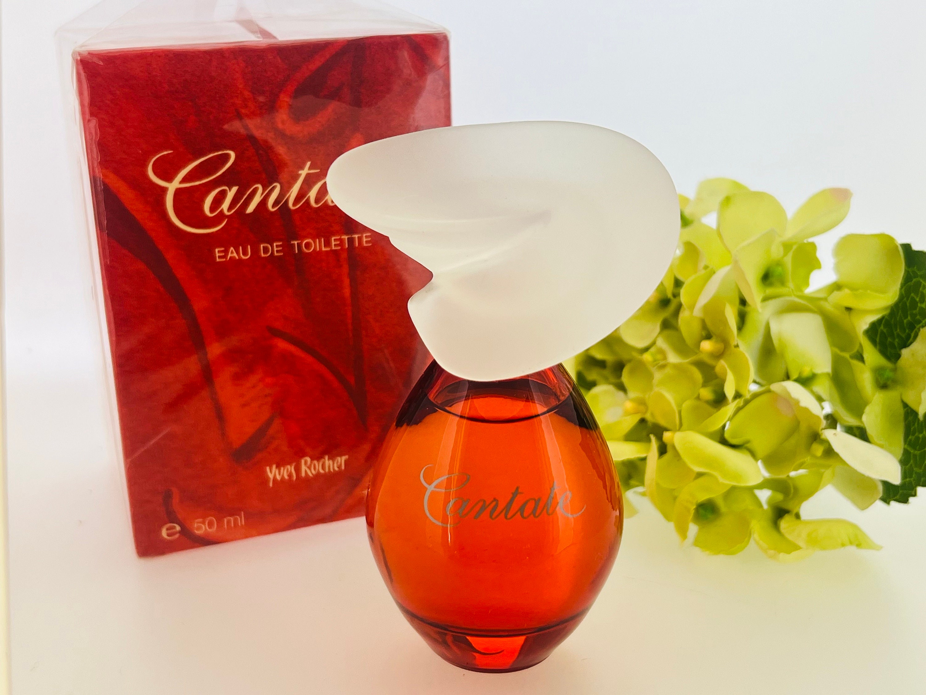 Eau De Toilette Vintage Yves Rocher Cantate - Flacon Splash 50 Ml - Neuf Sous Boîte - Parfum D'époque