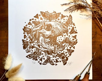 Bronze Moth Bear Skull Linocut Print - Limited Edition