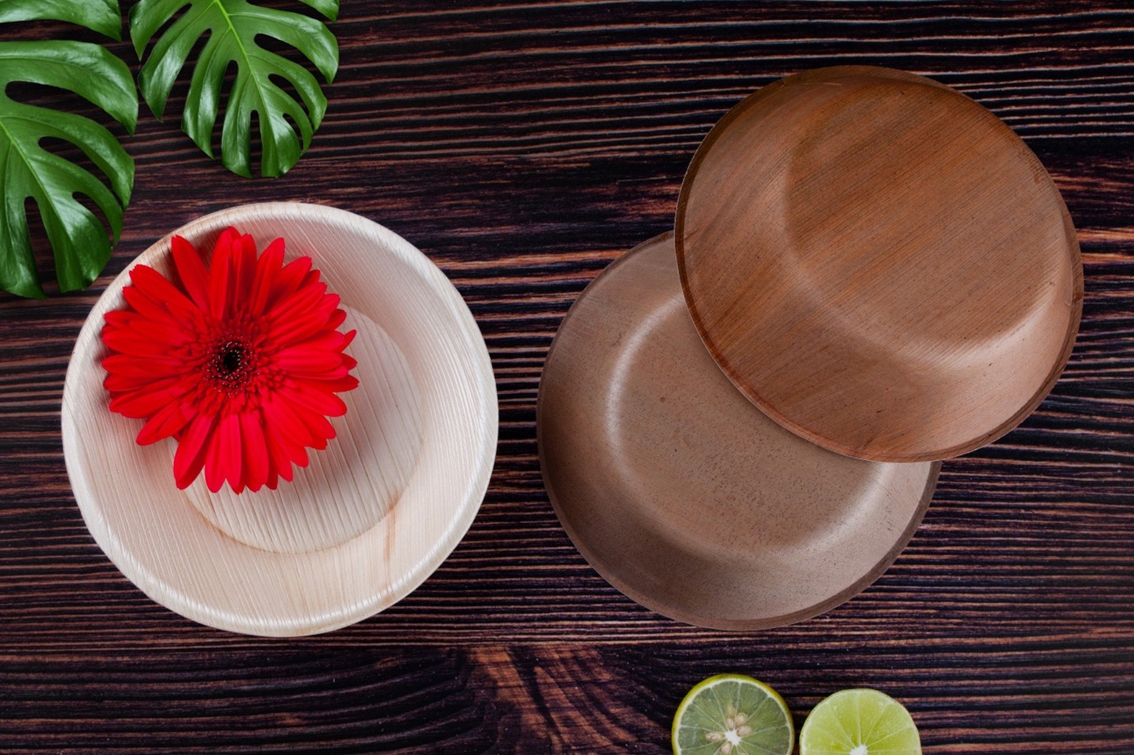 Palm Leaf Plates and Bowls Disposable Round Eco Friendly Etsy UK