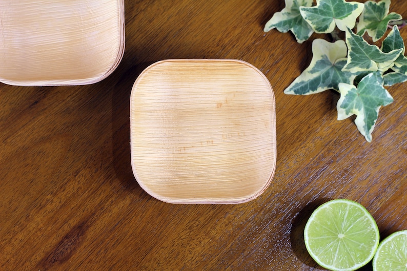 25 Pcs Xsmall Palm Leaf Disposable Plates 4 10cm Canapé, Dip, Sauce