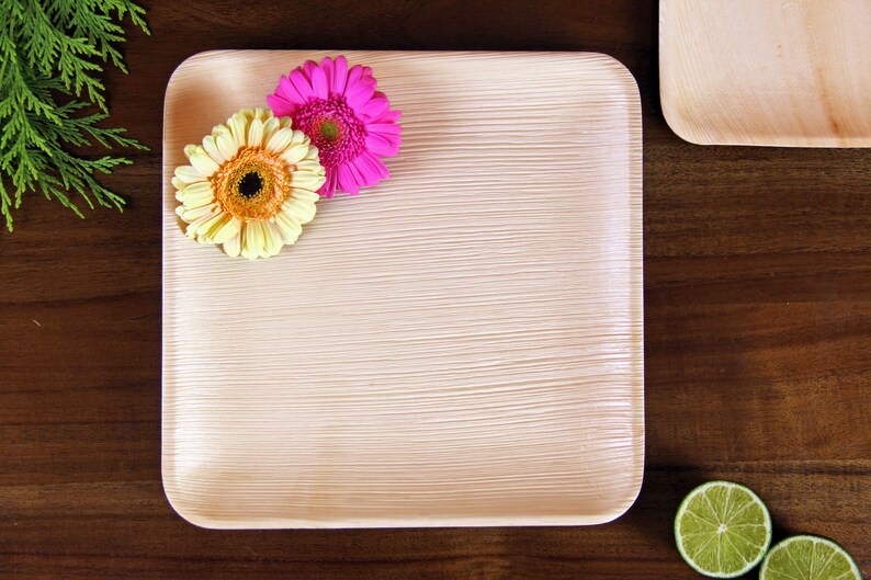 Palm Leaf Plates and Bowls Disposable Square Eco Friendly Etsy UK