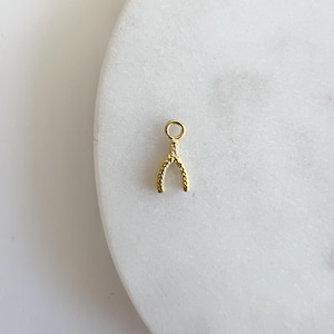 Può includere: Un ciondolo a forma di osso di buon augurio dorato. L'osso di buon augurio è testurizzato con piccoli punti.