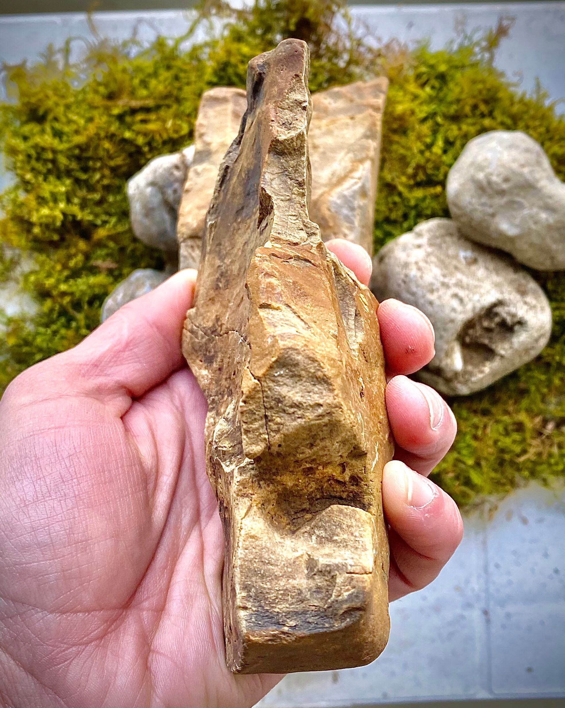 Authentic Ohio Flint Ridge Rough Flint Large Chunk Rock Core Etsy