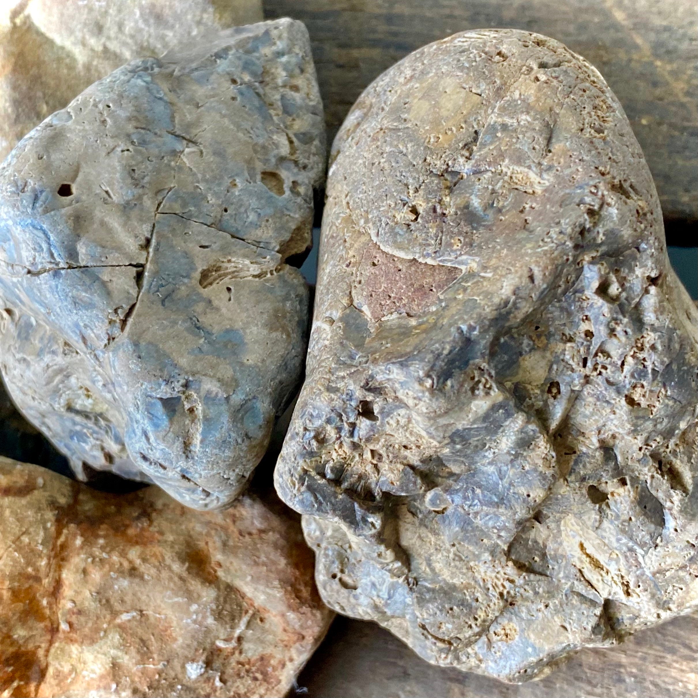 Rare Native American Effigy Stones - 0fwequn
