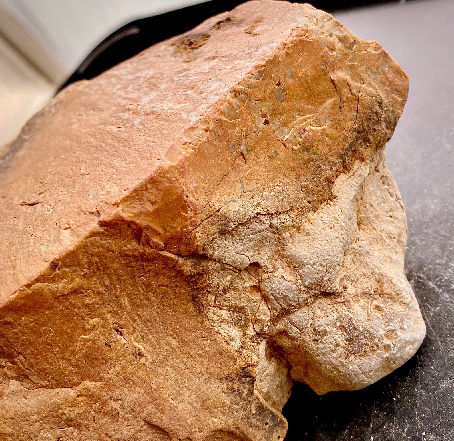 Authentic Ohio Flint Ridge Rough Flint Large Chunk Rock Core Etsy