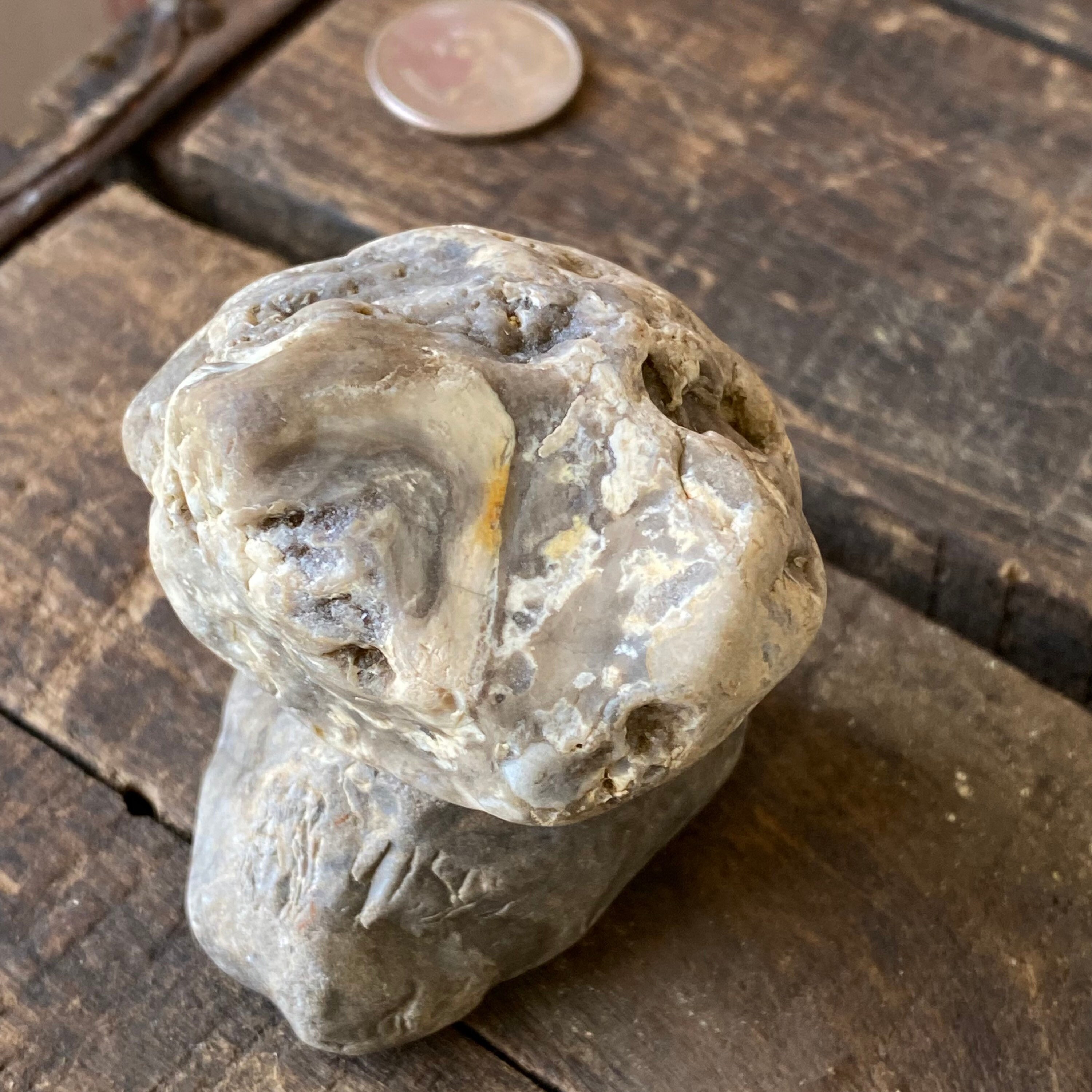 9pc Set River Rock Fossils Agates Flint Chert 1 3 Opal Etsy