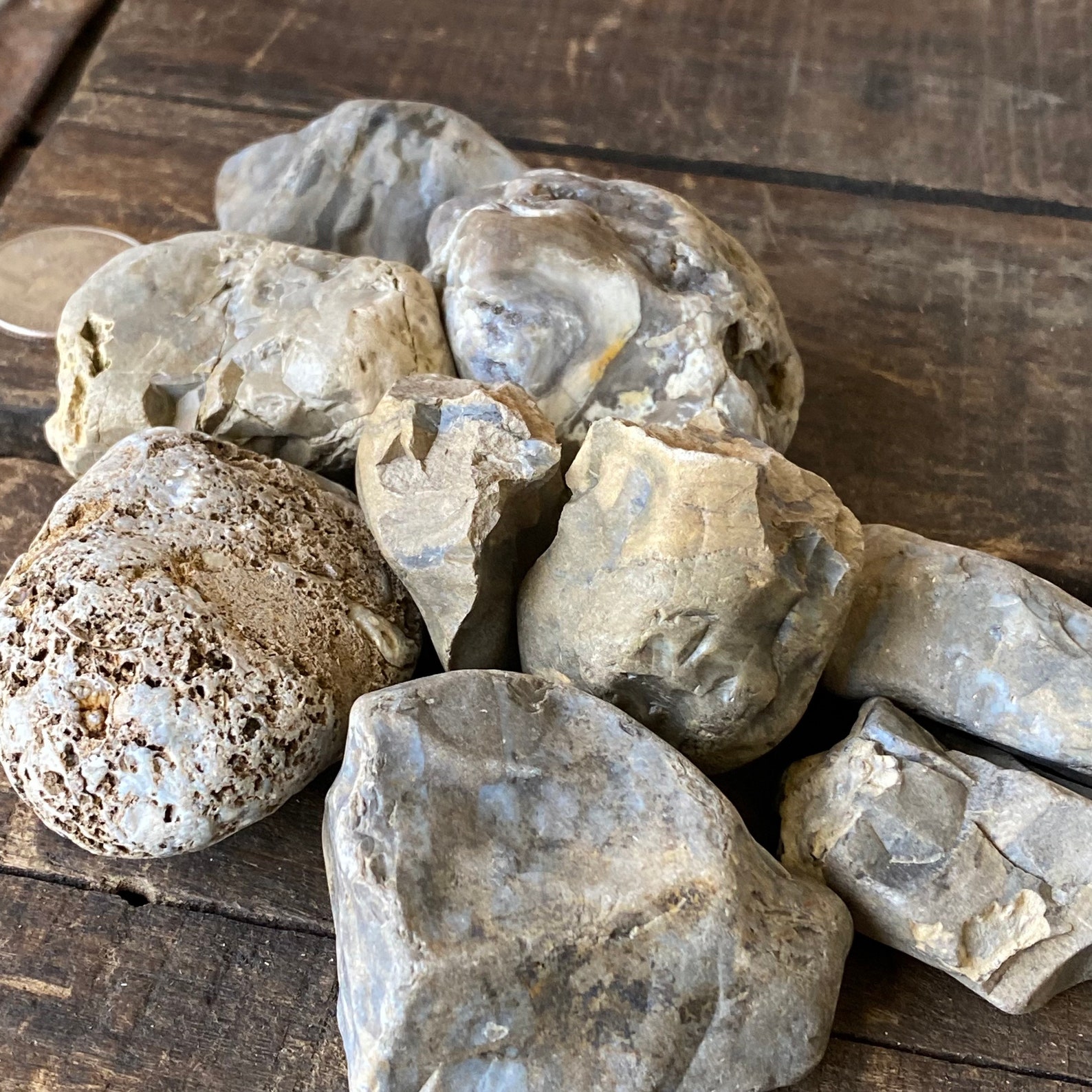 9pc Set River Rock Fossils Agates Flint Chert 1 3 Opal Etsy