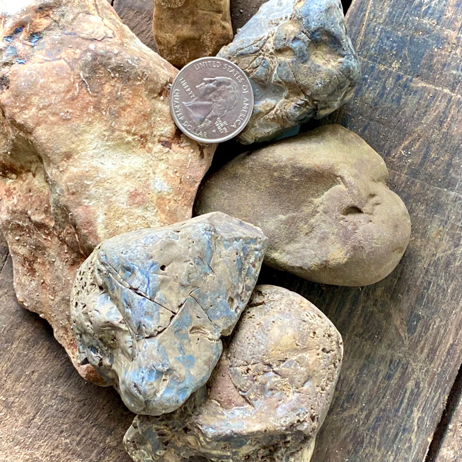 Rare Native American Effigy Stones - f3q5y6o