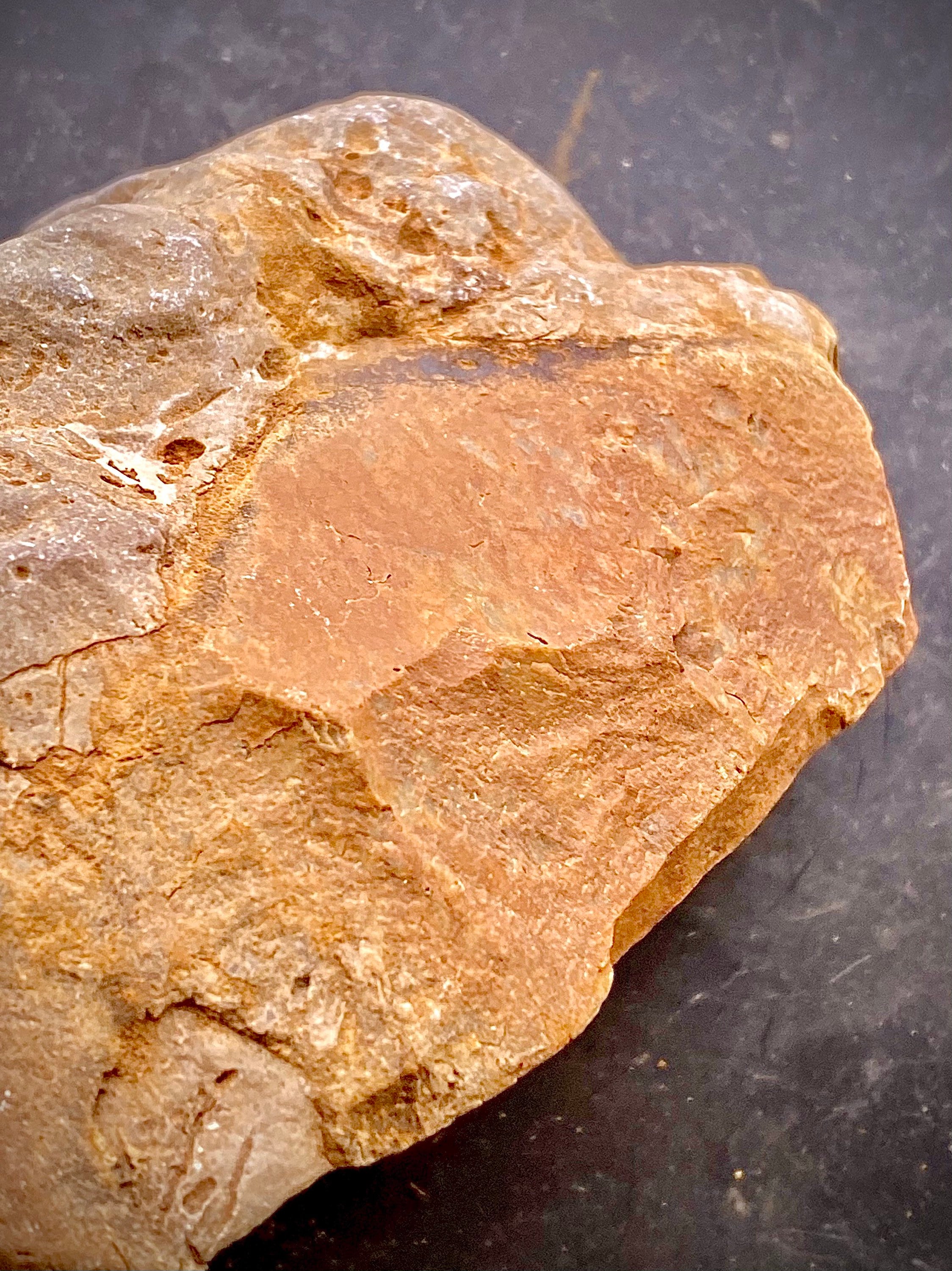 Authentic Ohio Flint Ridge Rough Flint Large Chunk Rock Core Etsy