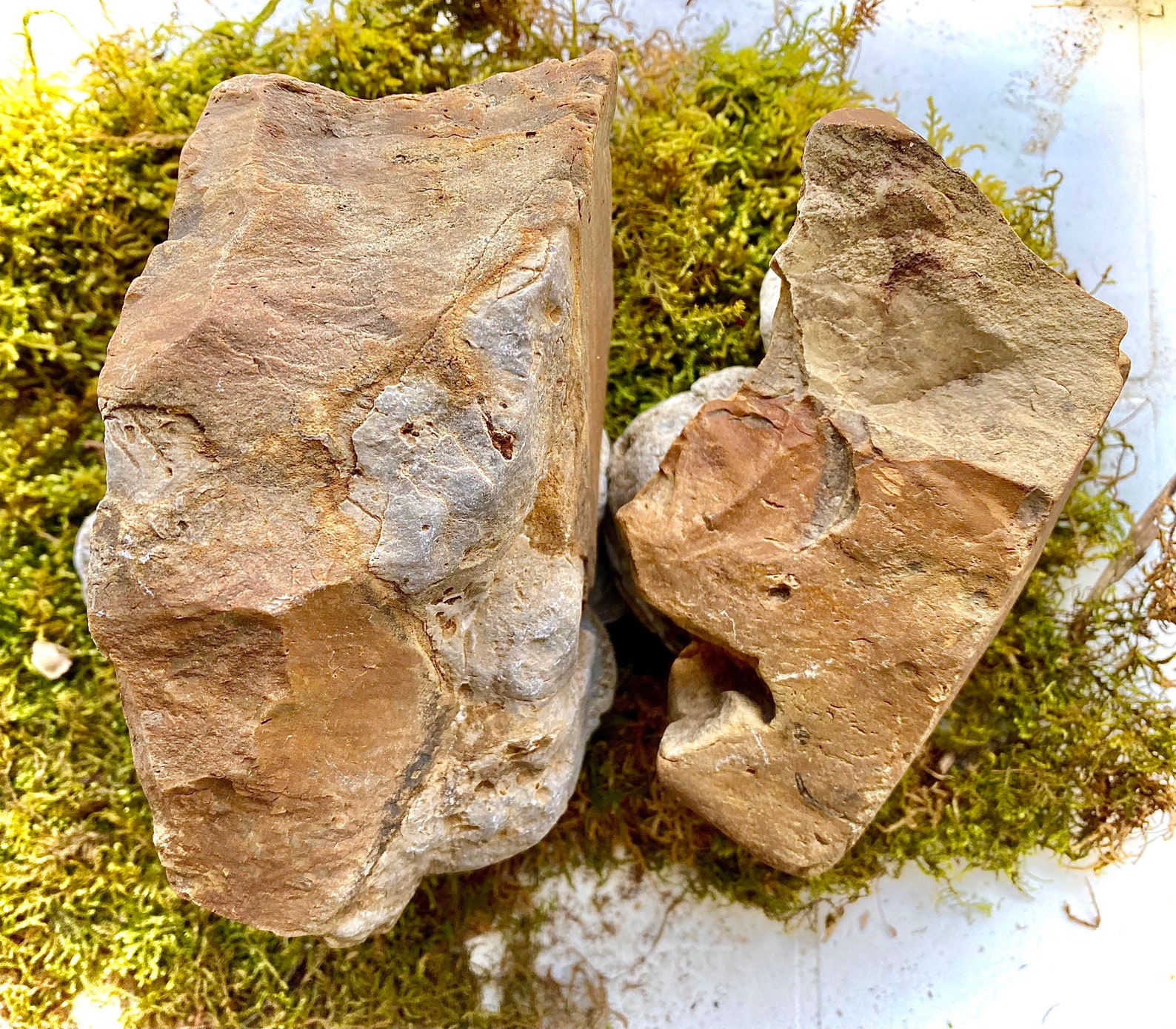 Authentic Ohio Flint Ridge Rough Flint Large Chunk Rock Core Etsy