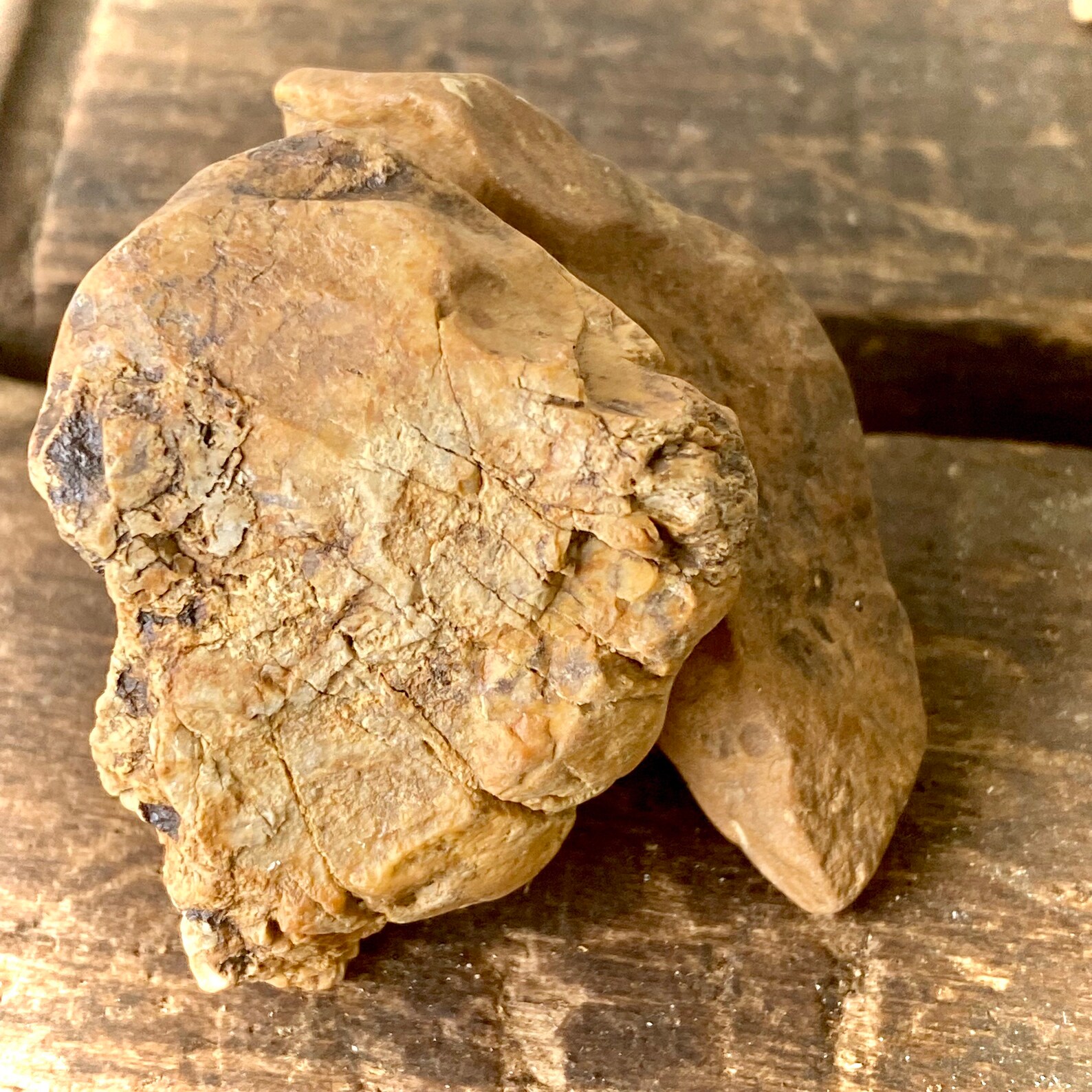 Flint Cores Chert Rock Stone Tool 15pc Collection HQ Ancient Etsy