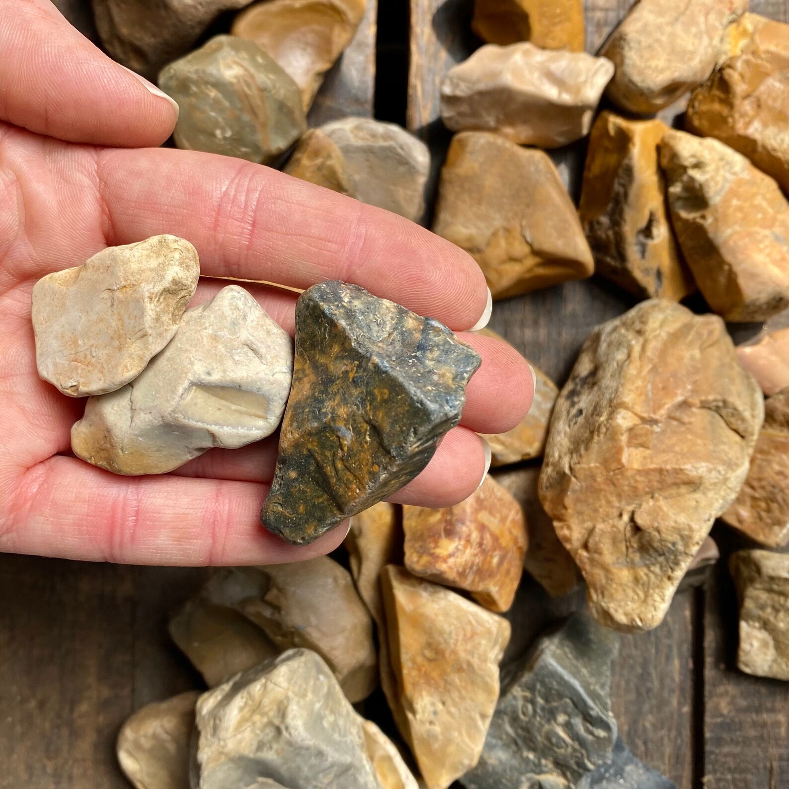 Rough Ohio Chert Flint Ridge Variety Rocks Rainbow Flint Etsy