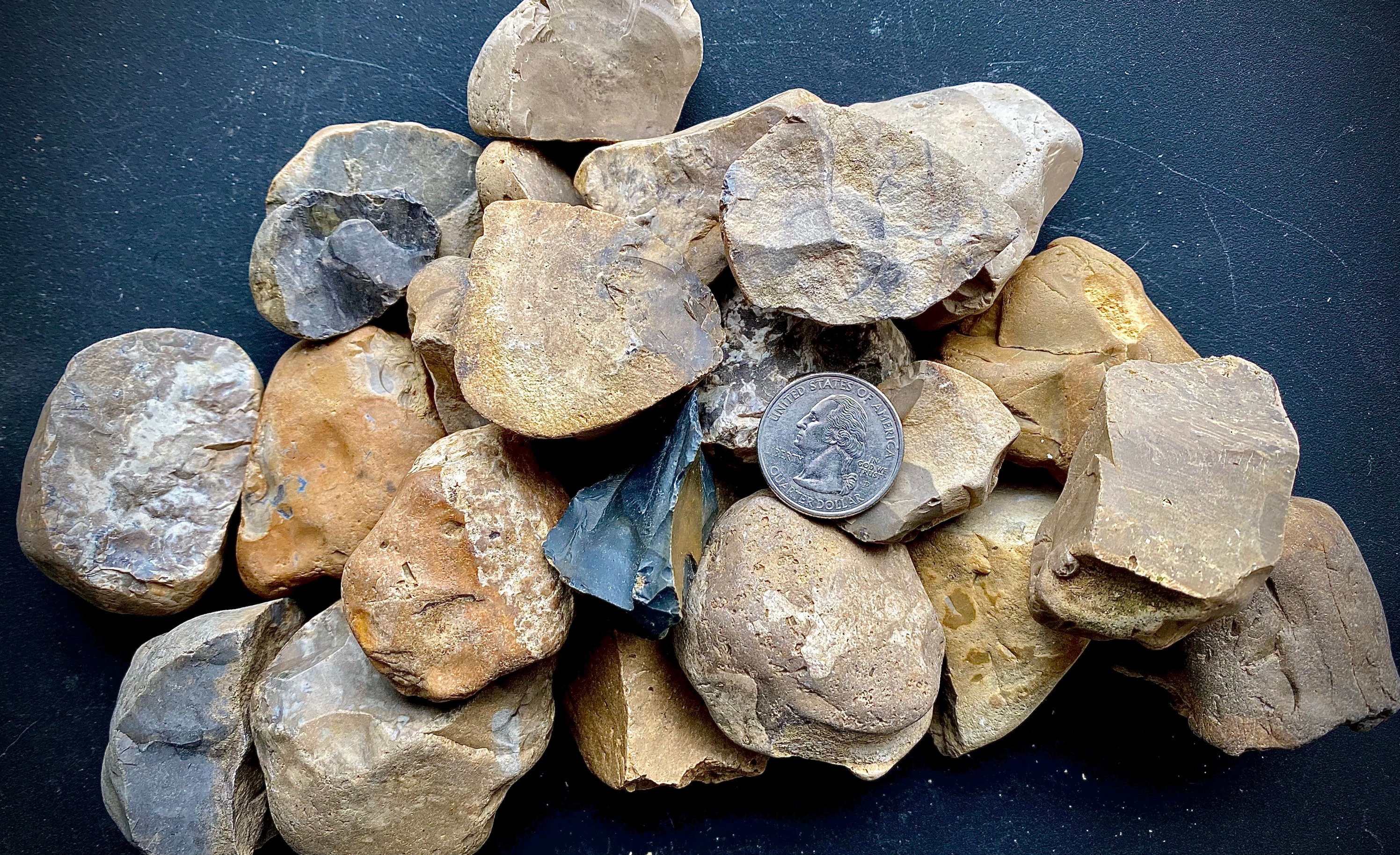 Set of 23 Ohio Chert Flint Stones Fossiliferous Rough Chunks Etsy